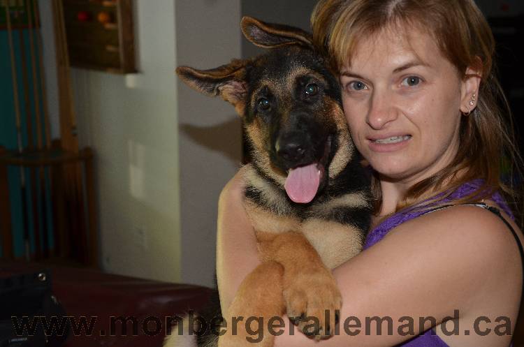 Rose - Teyla, Chiot Femelle de Kenya et Vidal né le 7 juin 2011