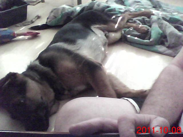 REx - Théo Il est a Saint-Hyacinthe en Montérégie